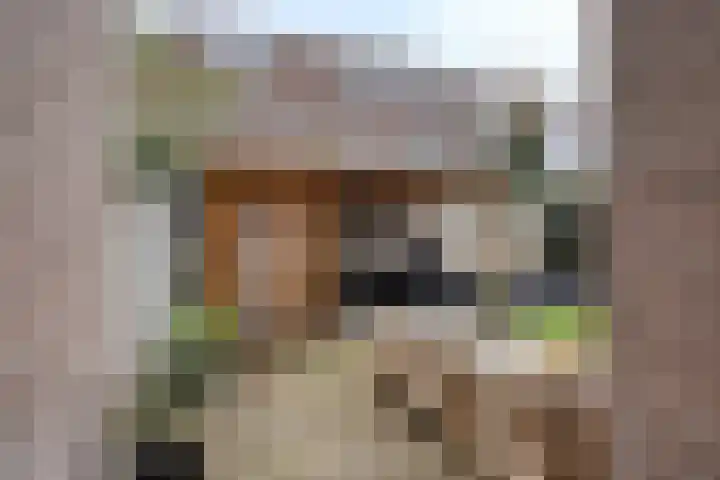 Van der Venstraat 23 's-Hertogenbosch thumbnail 29