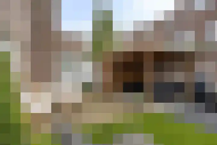 Van der Venstraat 23 's-Hertogenbosch thumbnail 30