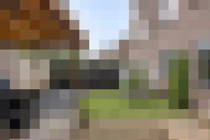Van der Venstraat 23 's-Hertogenbosch thumbnail 31