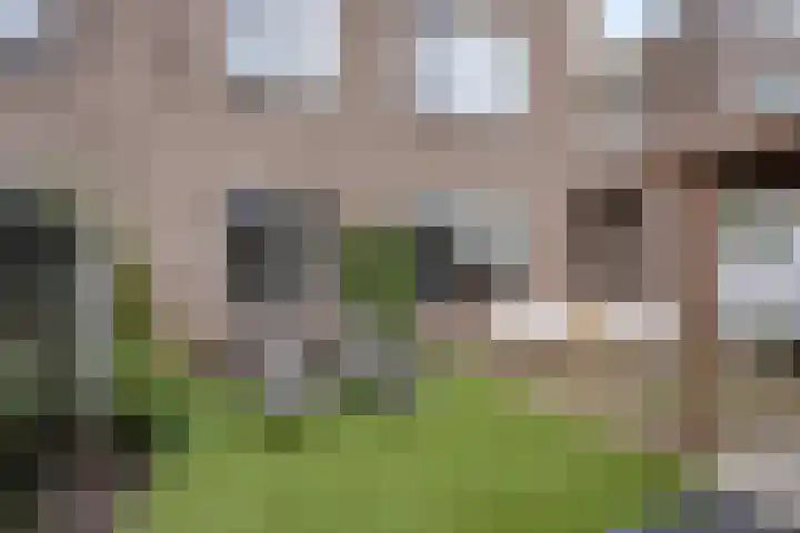 Van der Venstraat 23 's-Hertogenbosch thumbnail 33