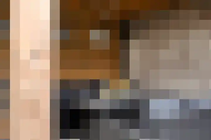 Van der Venstraat 23 's-Hertogenbosch thumbnail 35