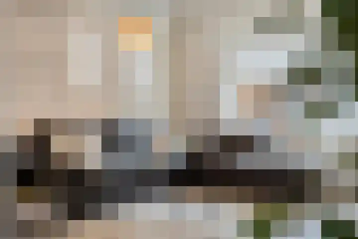 Van der Venstraat 23 's-Hertogenbosch thumbnail 6