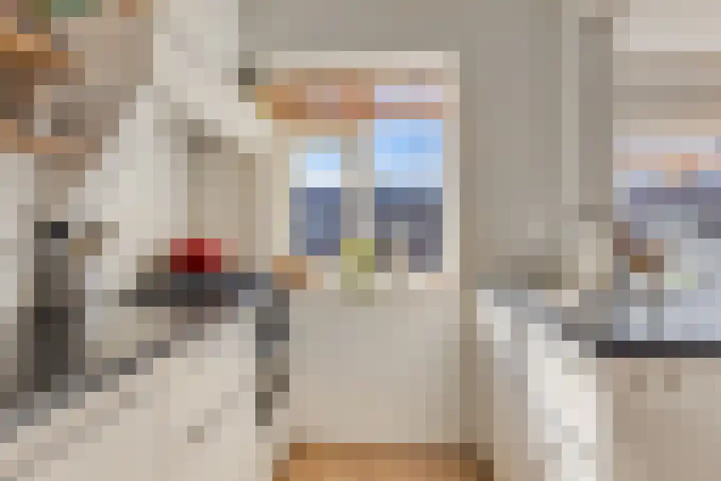Van der Venstraat 25 's-Hertogenbosch thumbnail 11