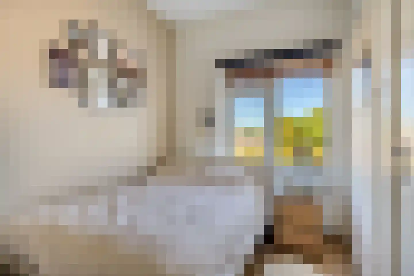 Van der Venstraat 25 's-Hertogenbosch thumbnail 13