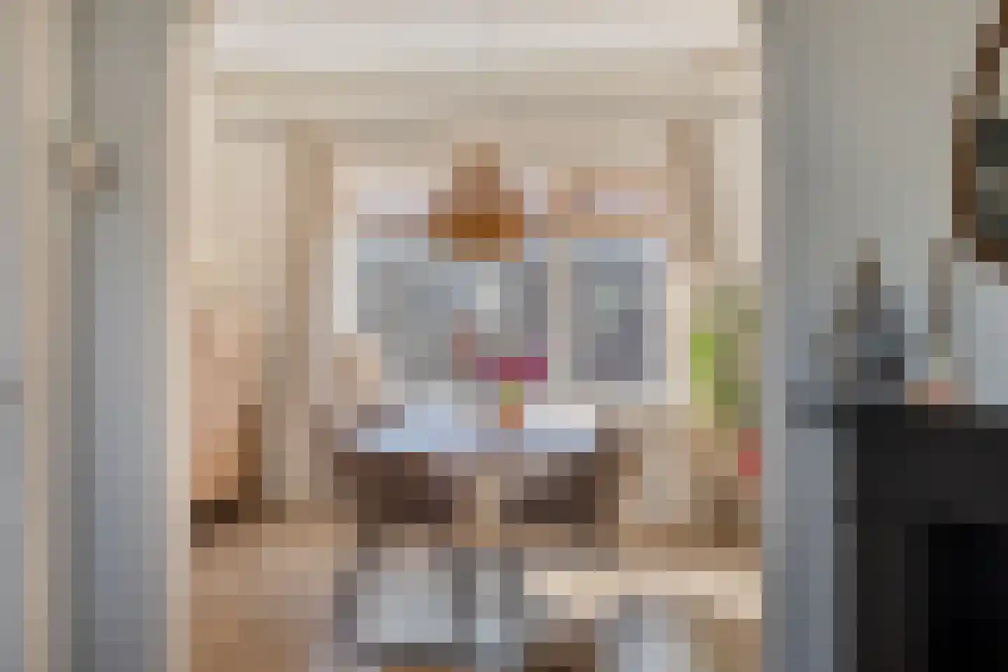Van der Venstraat 25 's-Hertogenbosch thumbnail 8