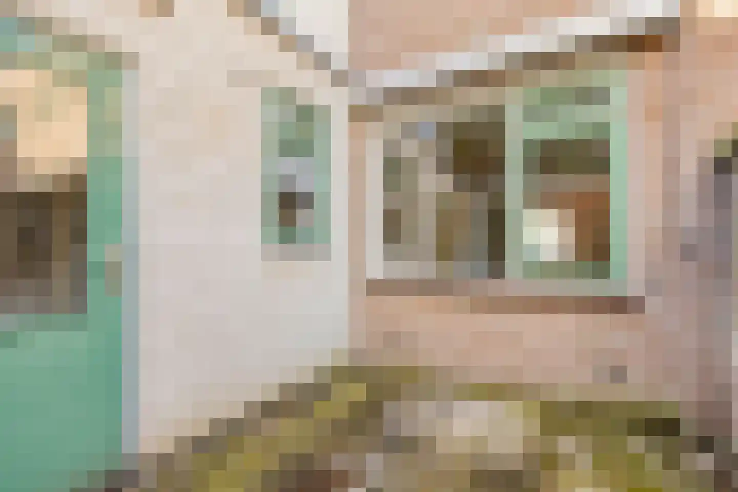 Van der Venstraat 29 's-Hertogenbosch thumbnail 10