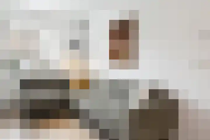 Van der Venstraat 33 's-Hertogenbosch thumbnail 5