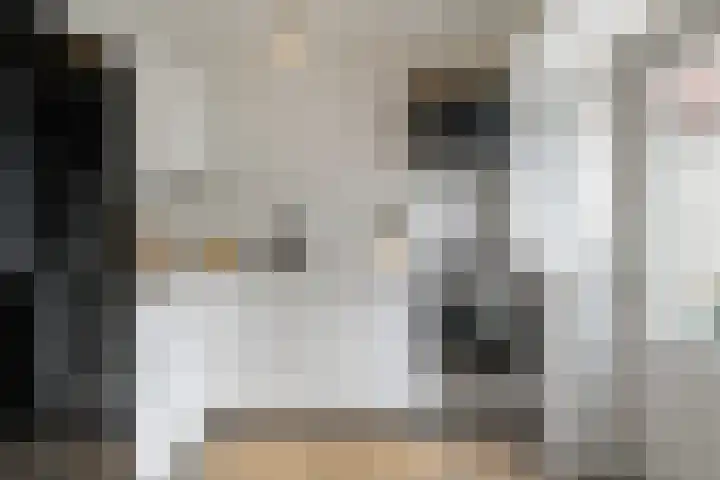 Van der Venstraat 33 's-Hertogenbosch thumbnail 8