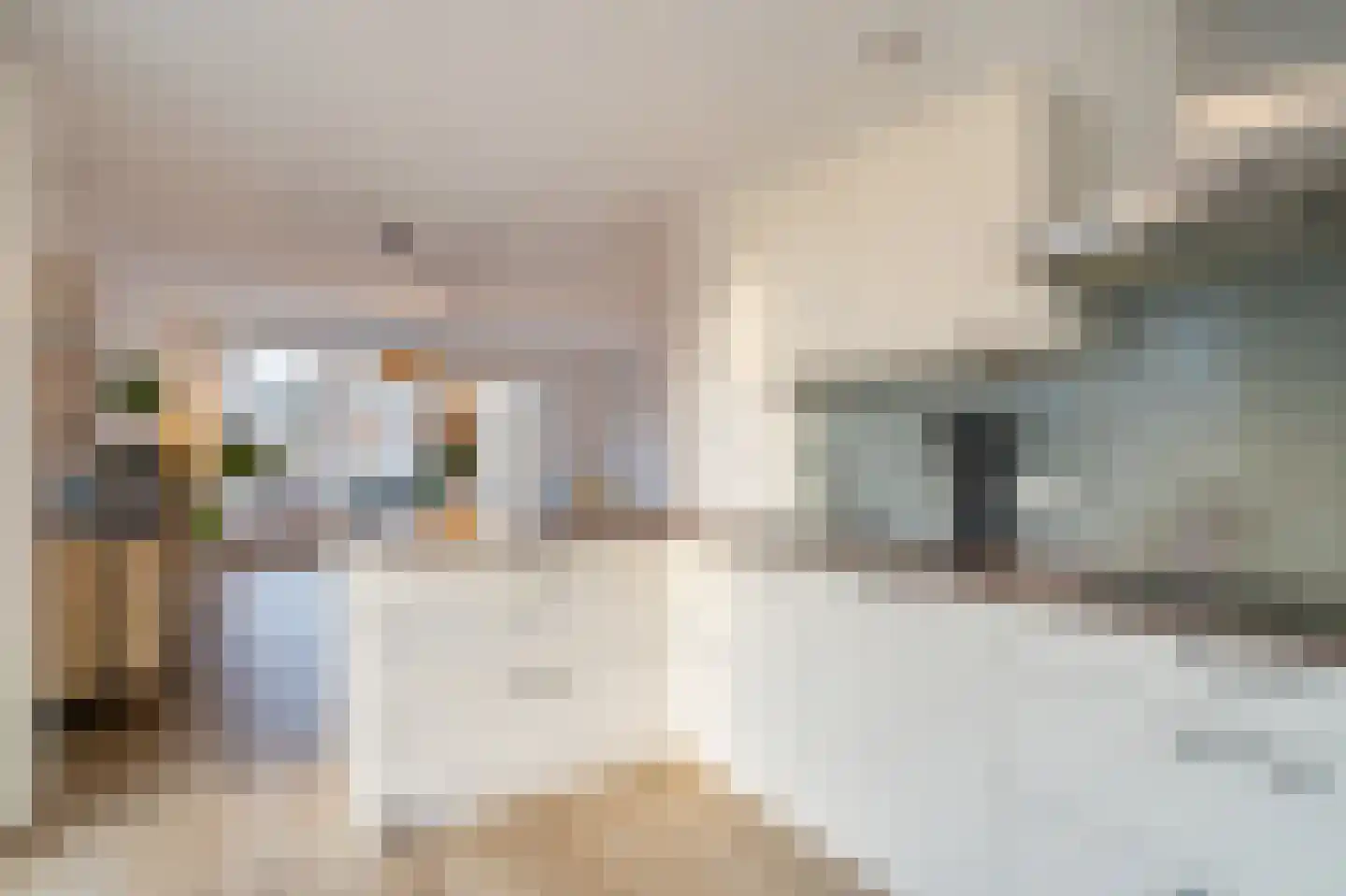 Van der Venstraat 39 Rijswijk thumbnail 17