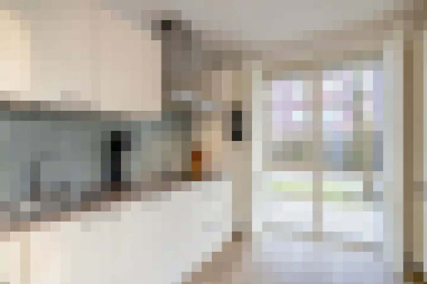Van der Venstraat 39 Rijswijk thumbnail 19