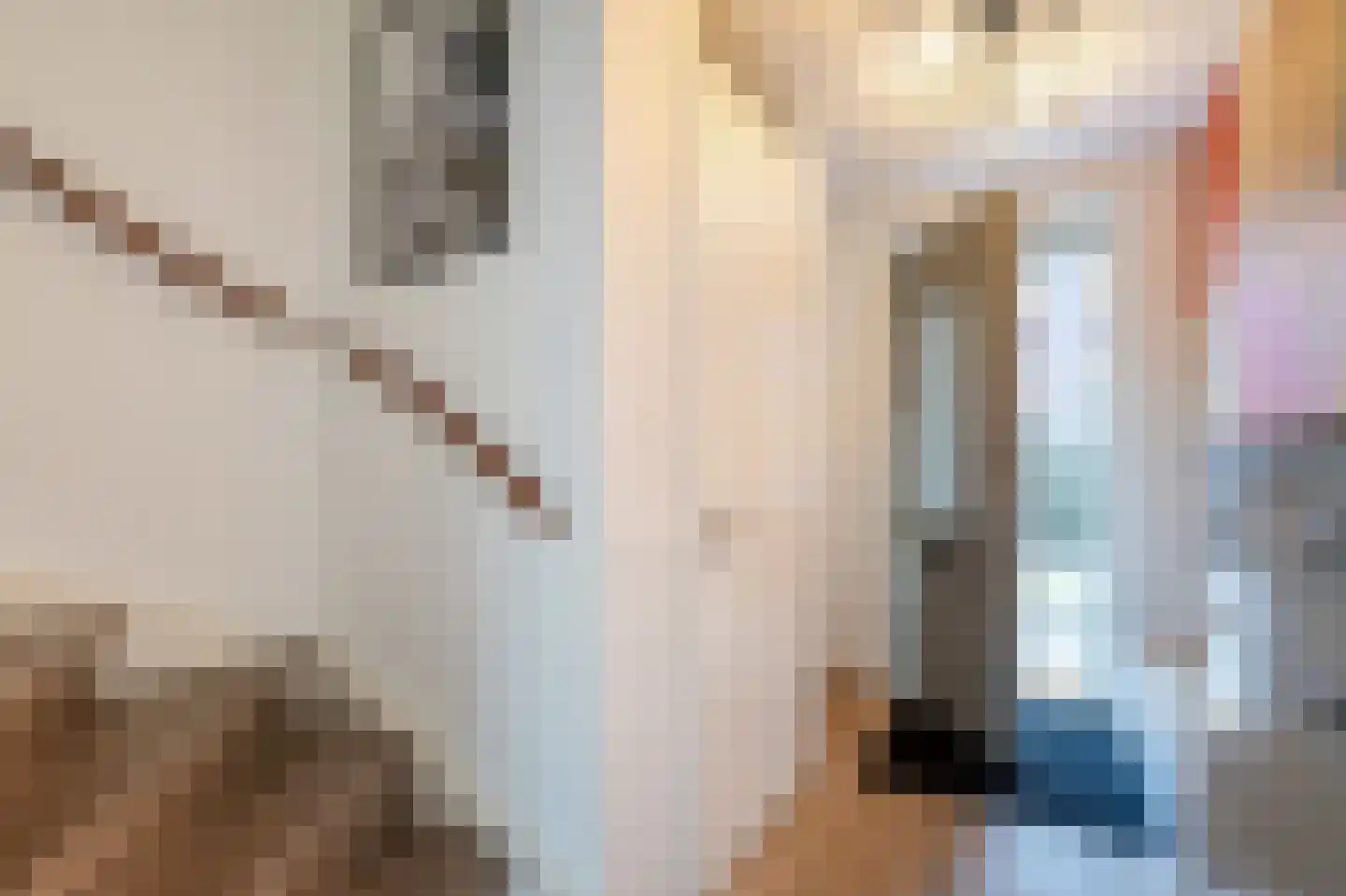 Van der Venstraat 39 Rijswijk thumbnail 6