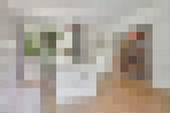 Van der Venstraat 6 's-Hertogenbosch thumbnail 6