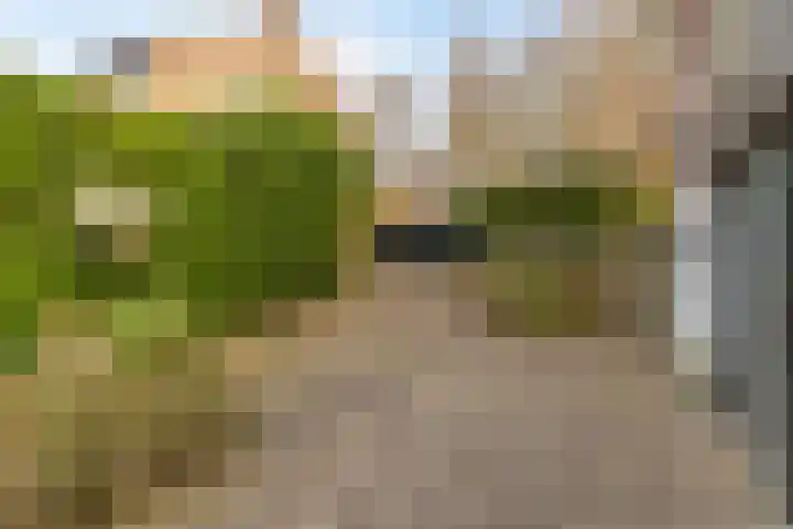van der Veurweg 16 Beek thumbnail 30