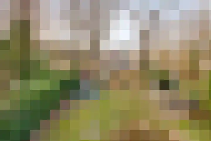 van der Veurweg 16 Beek thumbnail 31