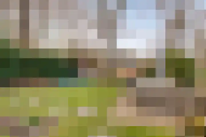 van der Veurweg 16 Beek thumbnail 32