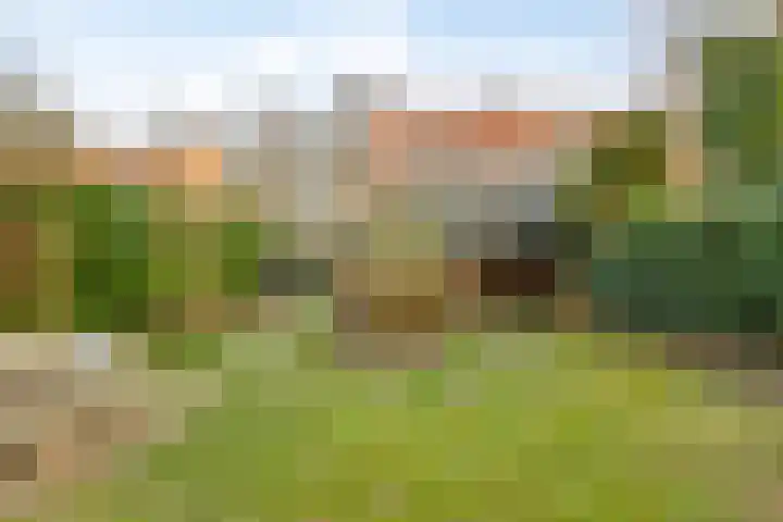 van der Veurweg 16 Beek thumbnail 33