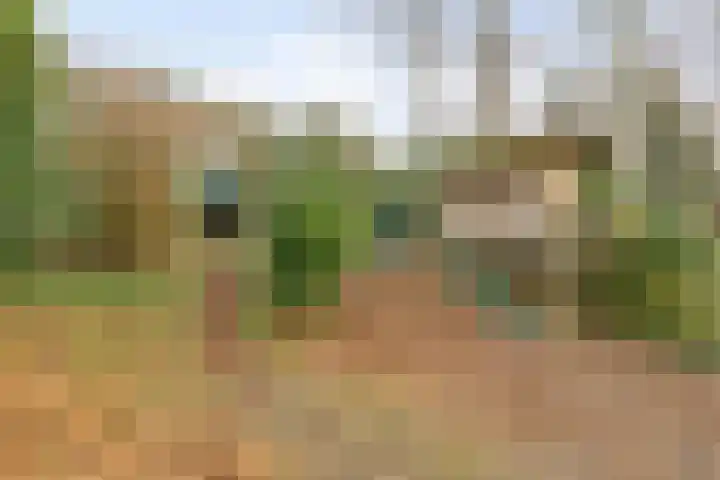 van der Veurweg 16 Beek thumbnail 34