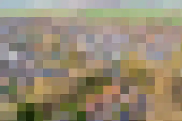 van der Veurweg 16 Beek thumbnail 37