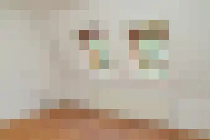 van der Veurweg 21 Beek thumbnail 18