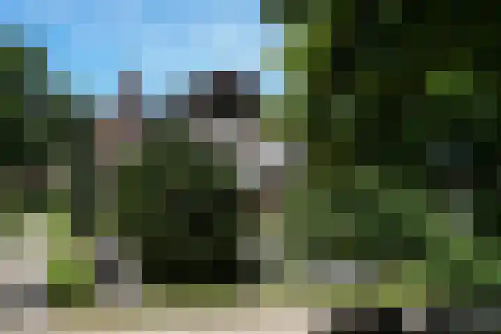 van der Veurweg 21 Beek thumbnail 21