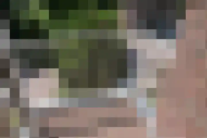 van der Veurweg 21 Beek thumbnail 9