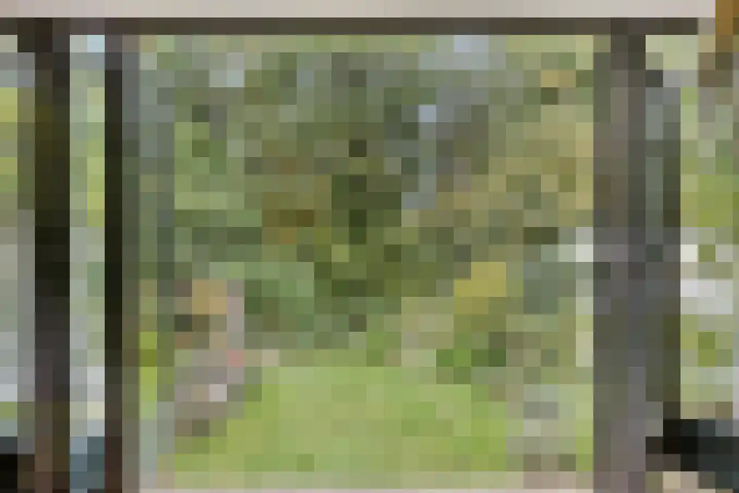 van der Veurweg 22 Beek thumbnail 20