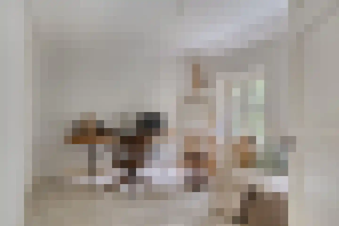 van der Veurweg 22 Beek thumbnail 29