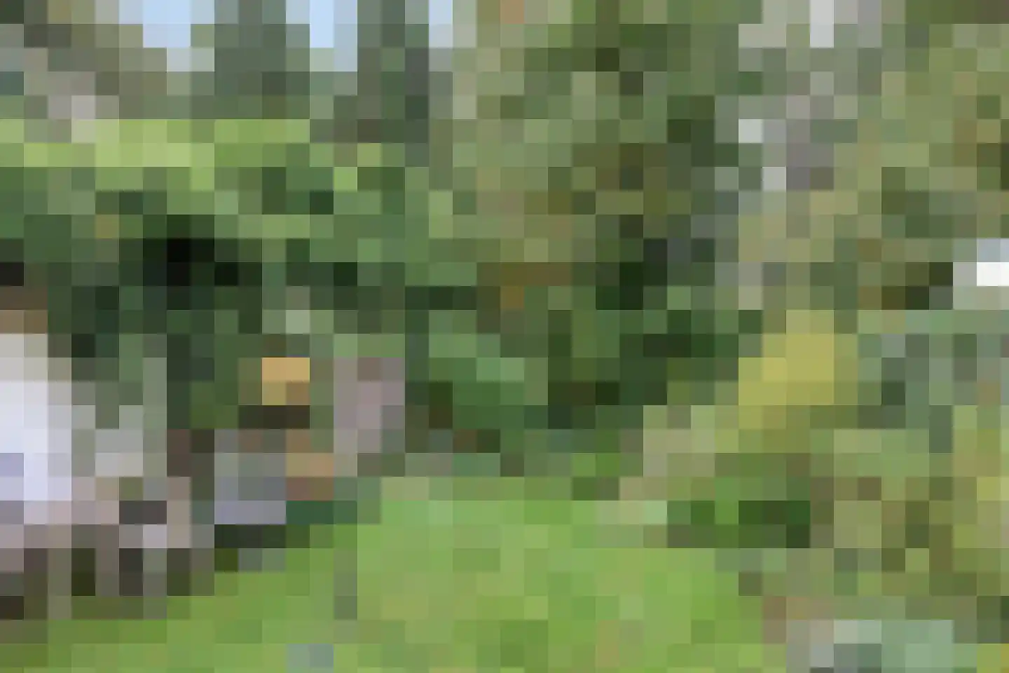 van der Veurweg 22 Beek thumbnail 33