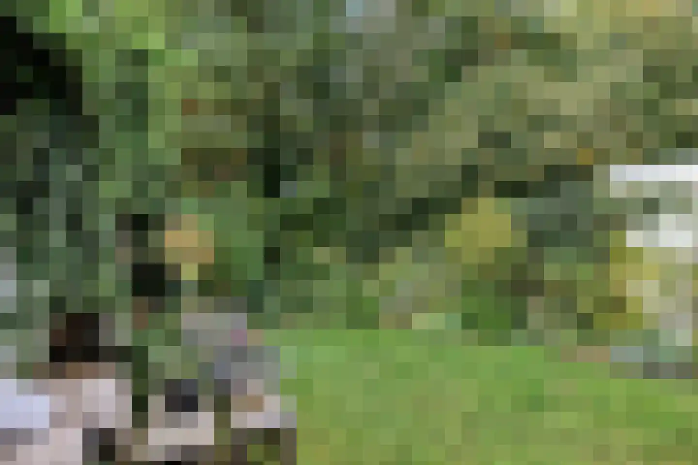 van der Veurweg 22 Beek thumbnail 34