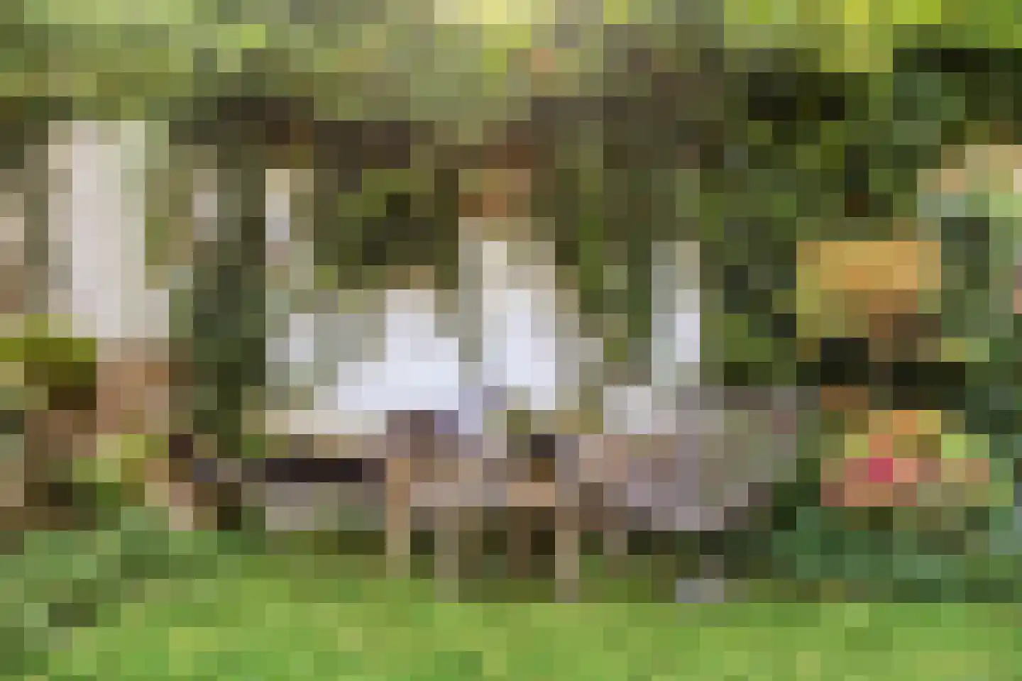 van der Veurweg 22 Beek thumbnail 35