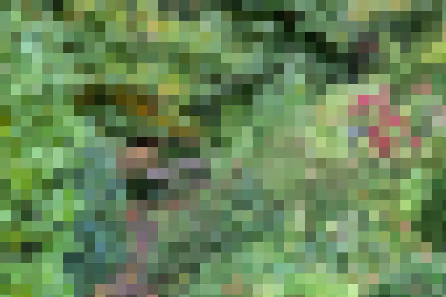 van der Veurweg 22 Beek thumbnail 38