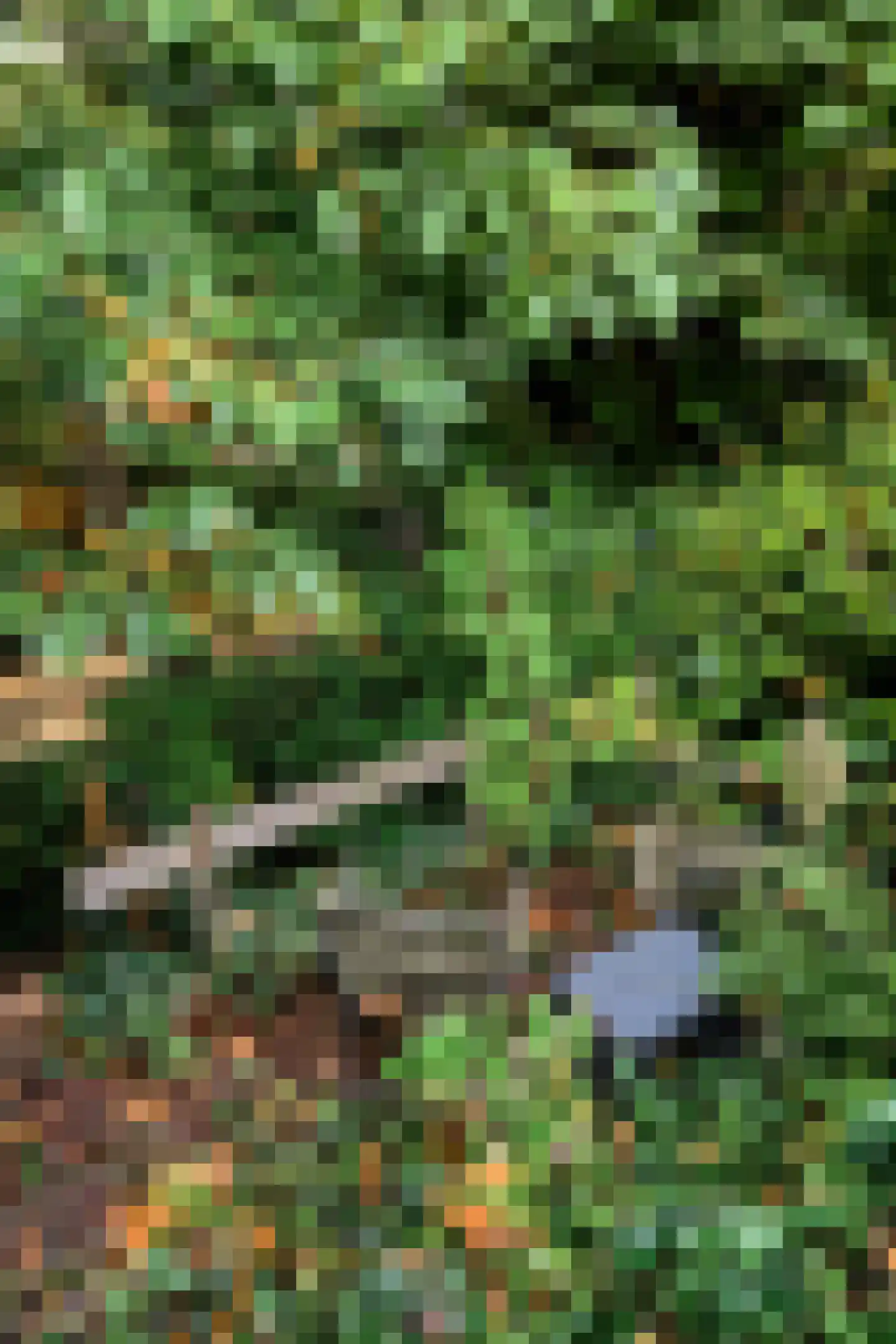 van der Veurweg 22 Beek thumbnail 39