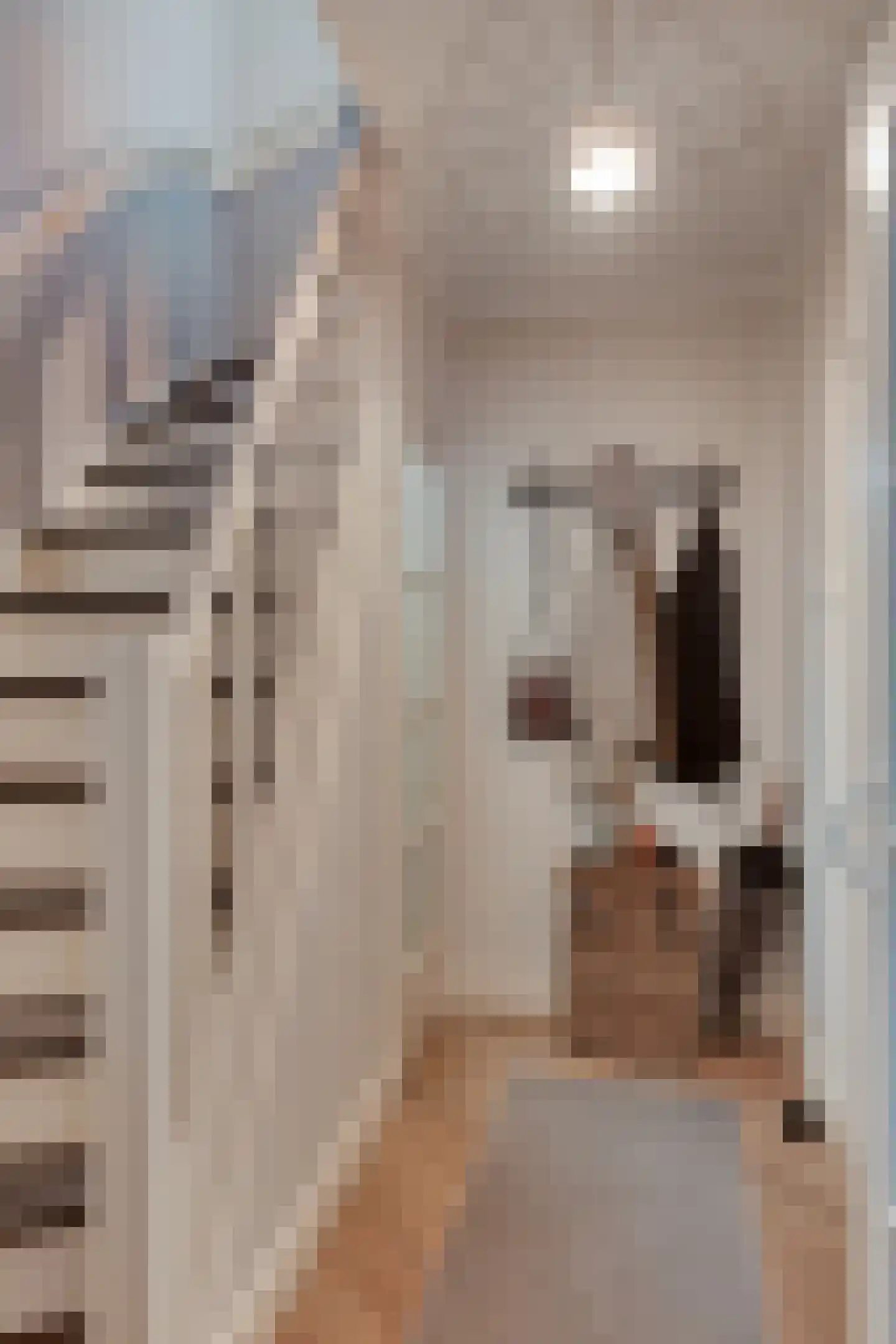 van der Veurweg 22 Beek thumbnail 4