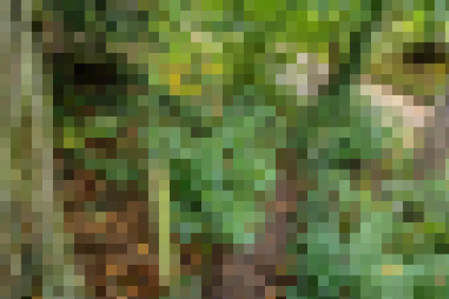 van der Veurweg 22 Beek thumbnail 41