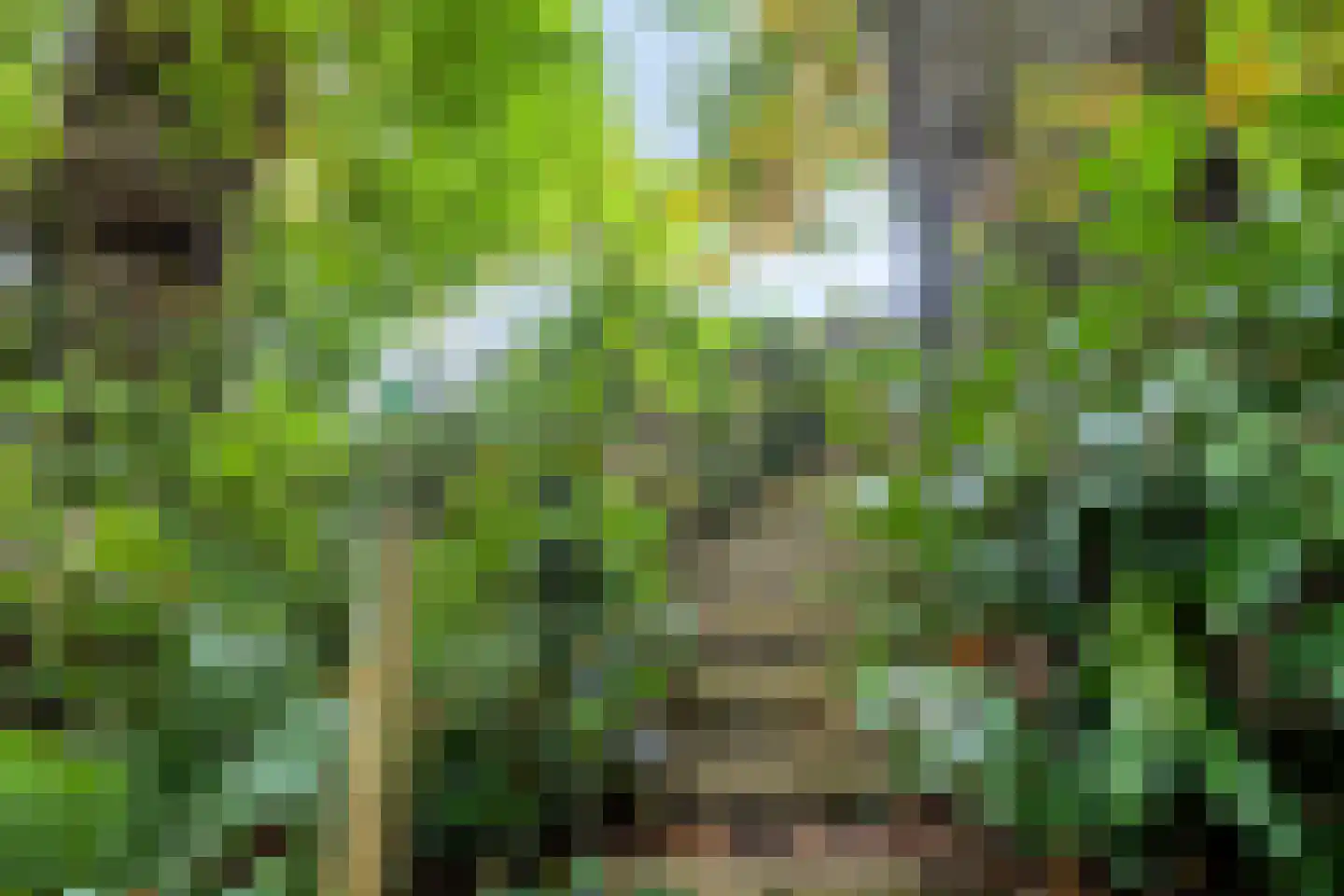 van der Veurweg 22 Beek thumbnail 42