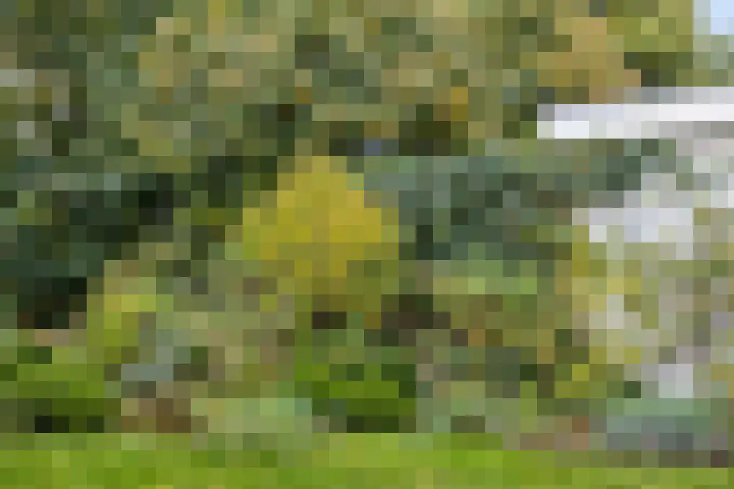 van der Veurweg 22 Beek thumbnail 43