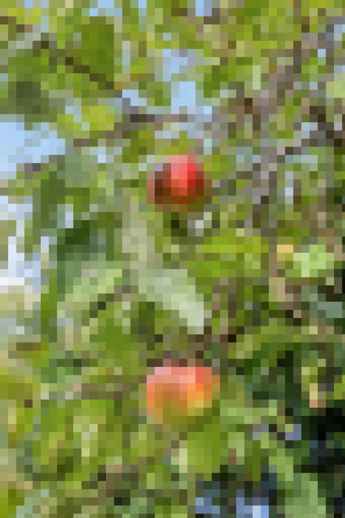 van der Veurweg 22 Beek thumbnail 44