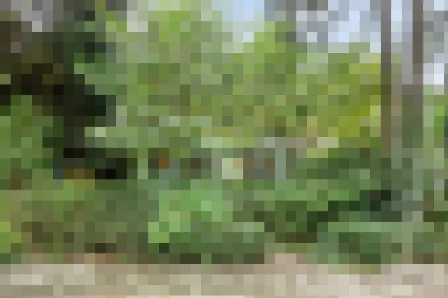 van der Veurweg 22 Beek thumbnail 46