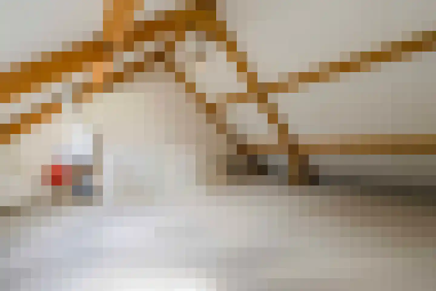 van der Vliststraat 1 Rijnsburg thumbnail 41