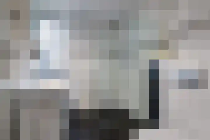 Van der Vlugtsingel 13 Utrecht thumbnail 4