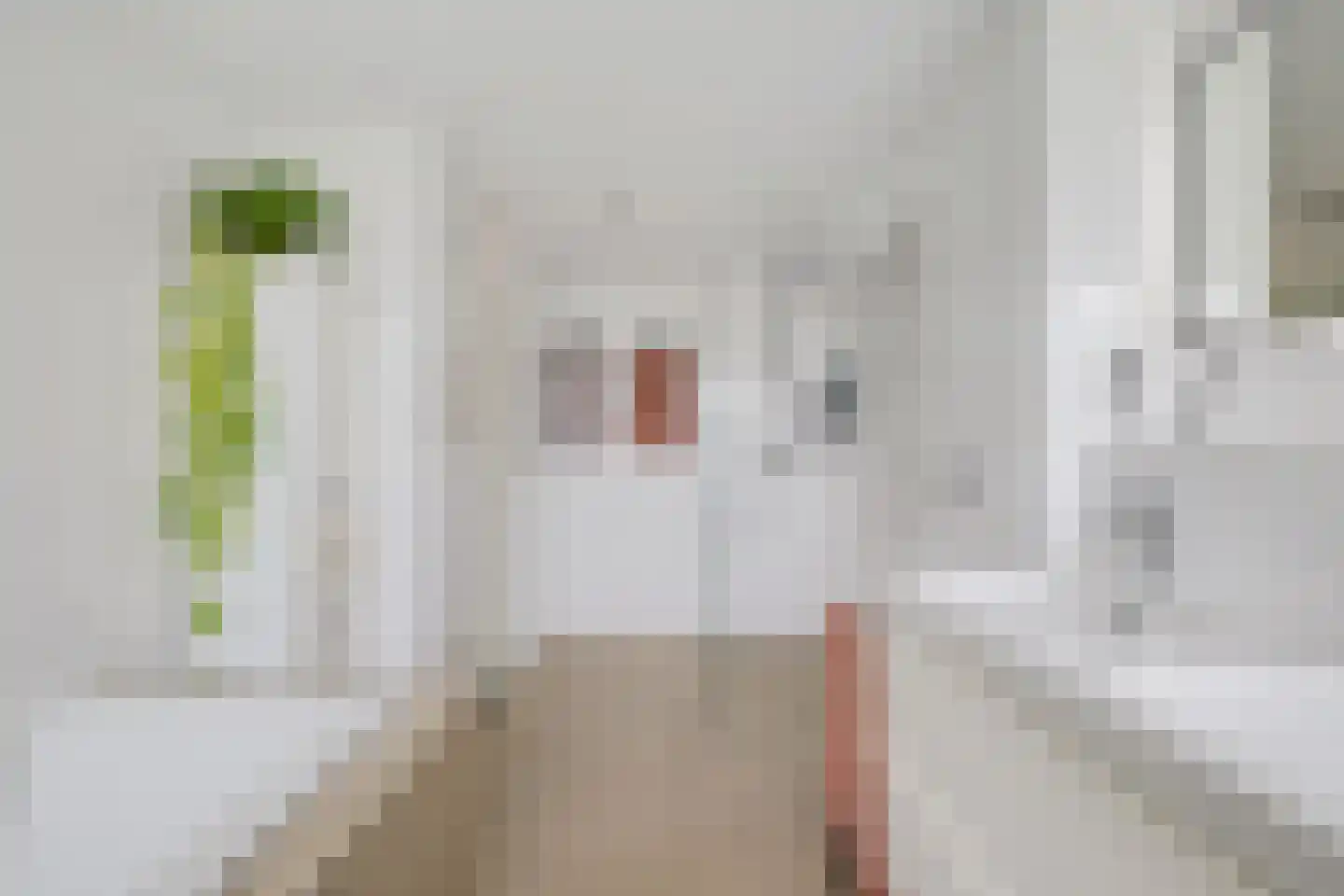 Van der Vlugtstraat 1 Groningen thumbnail 23