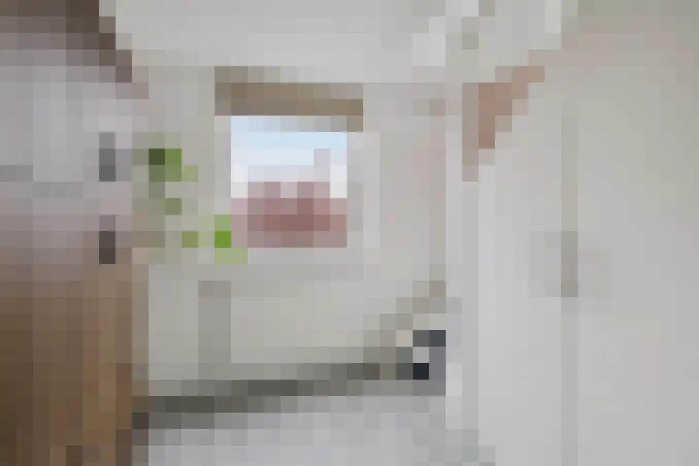 Van der Vlugtstraat 1 Groningen thumbnail 25