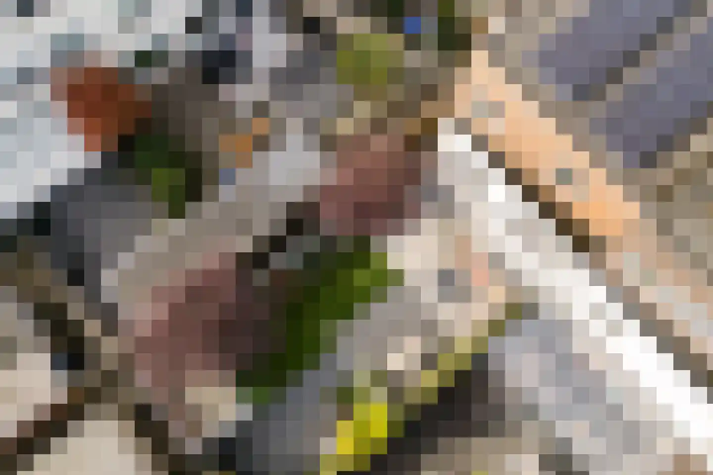 Van der Vlugtstraat 1 Groningen thumbnail 30