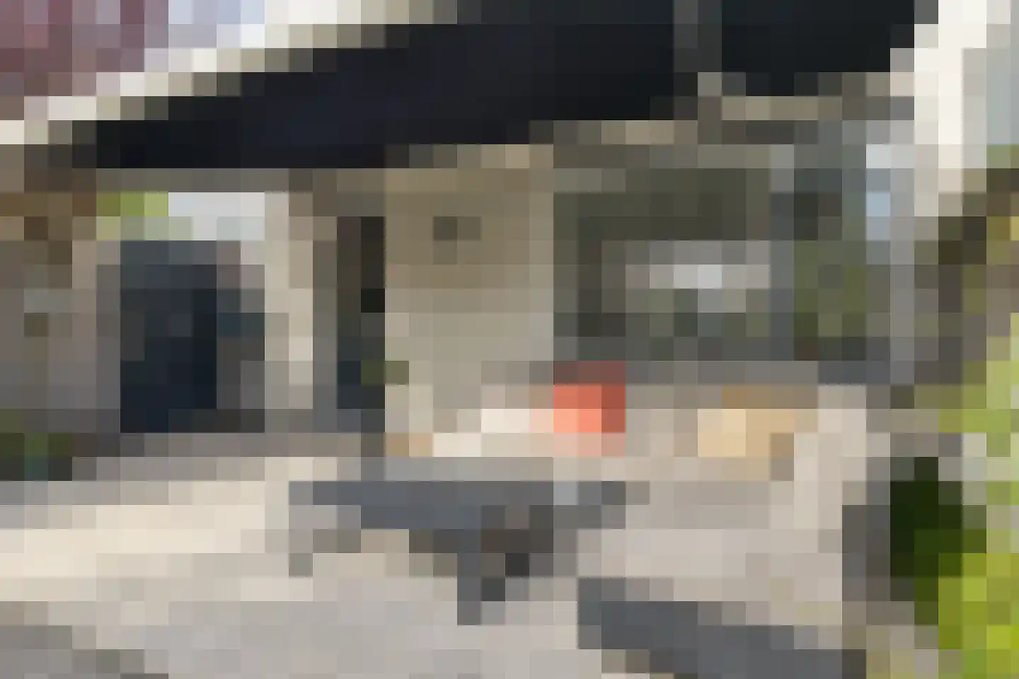 Van der Vlugtstraat 1 Groningen thumbnail 32
