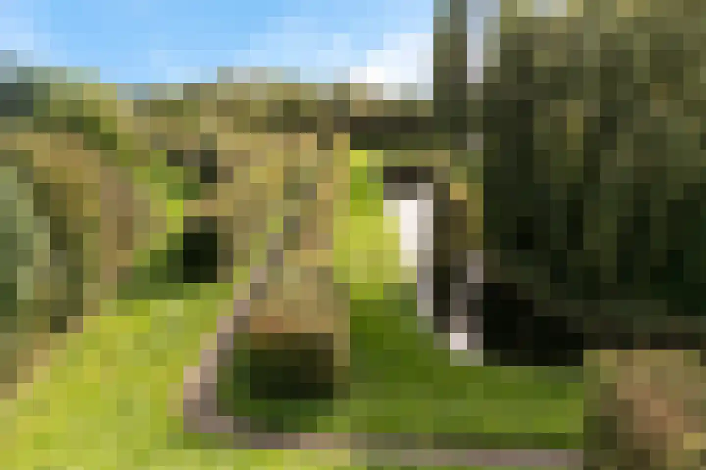 Van der Vlugtstraat 1 Groningen thumbnail 42