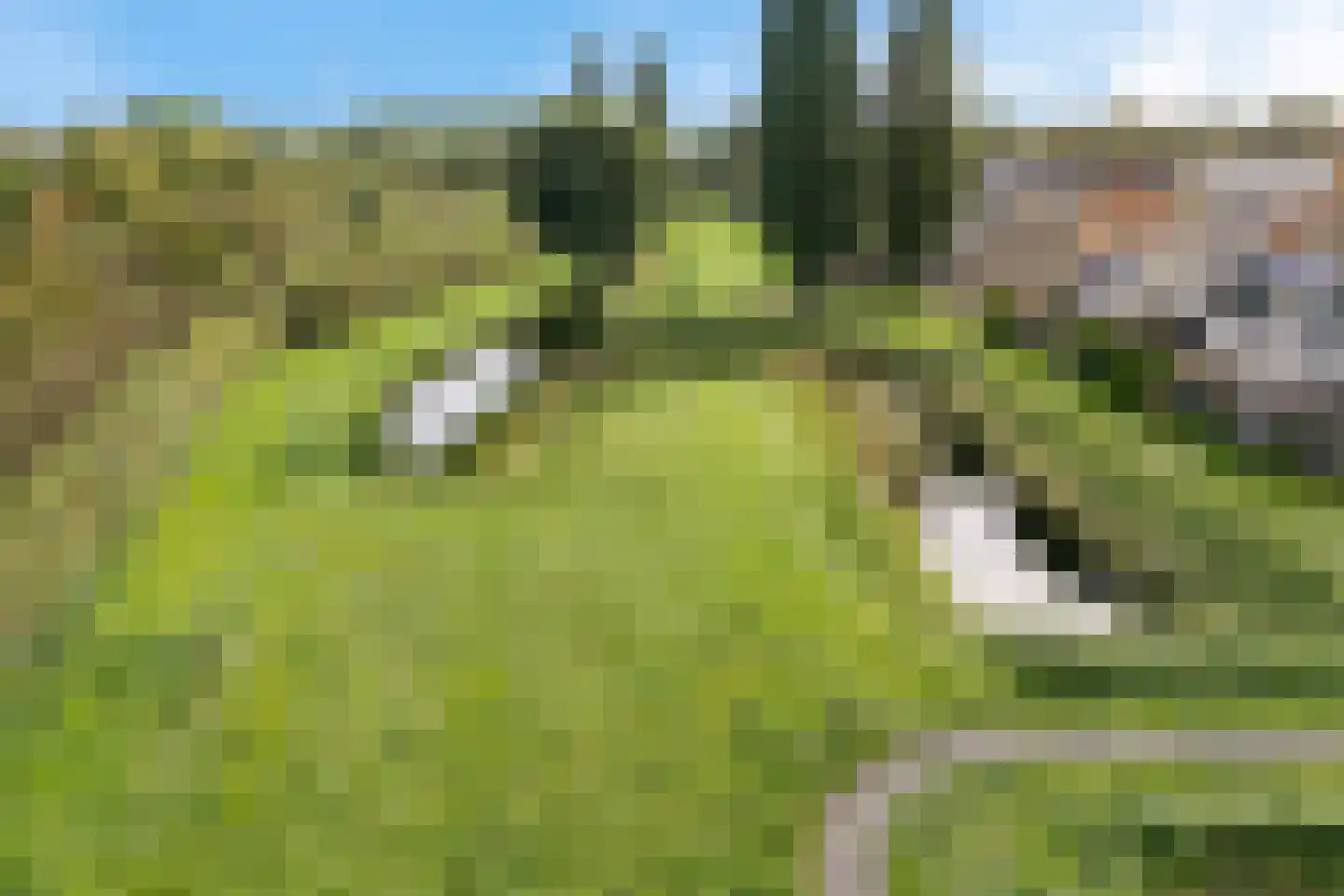 Van der Vlugtstraat 1 Groningen thumbnail 43