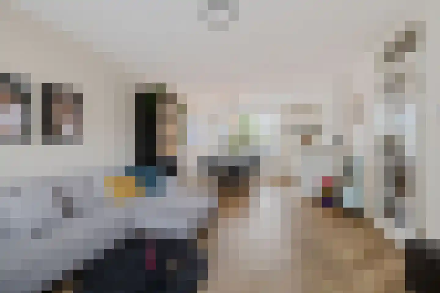 Van der Vlugtstraat 1 Groningen thumbnail 9