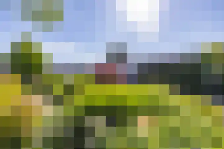 Van der Vlugtstraat 15 Groningen thumbnail 37