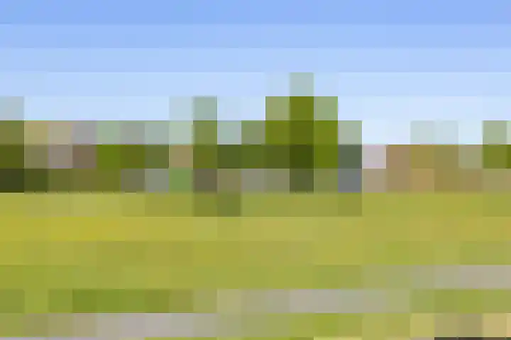 Van der Vlugtstraat 15 Groningen thumbnail 38