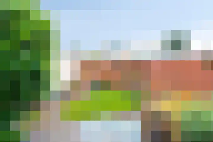 Van der Vlugtstraat 6 Groningen thumbnail 24